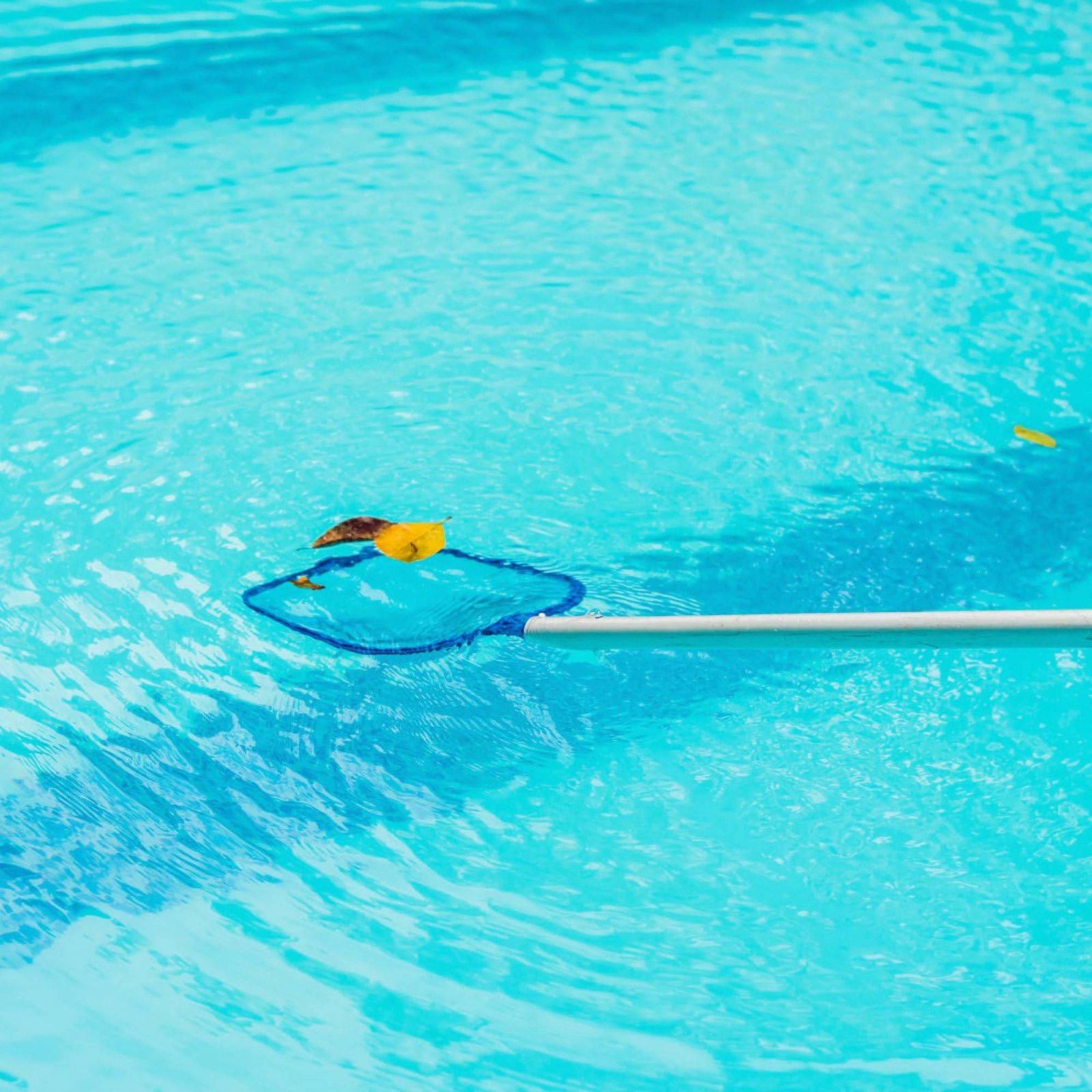 Detachable Pool Foliage Net Ea - Pool Skimmer Net review and price