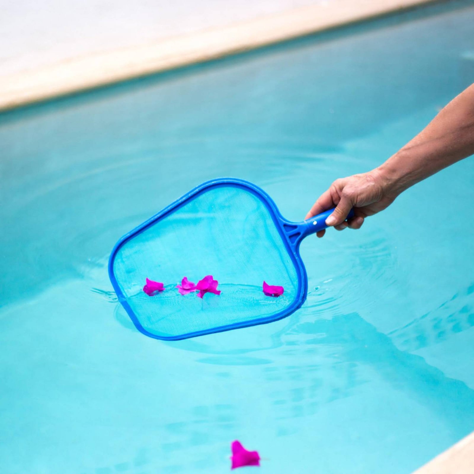Detachable Pool Foliage Net Ea - Pool Skimmer Net review and price