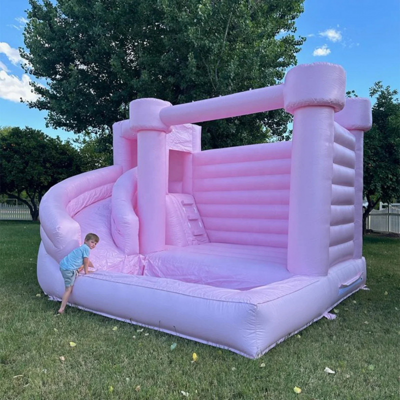 Custom Pink Castle Inflatable  - Water Slide Inflatable review and price