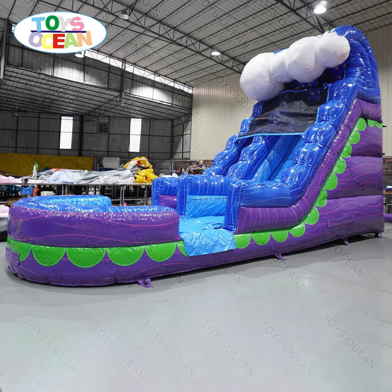 Commercial Backyard Slide Rent - Water Slide Inflatable review and price
